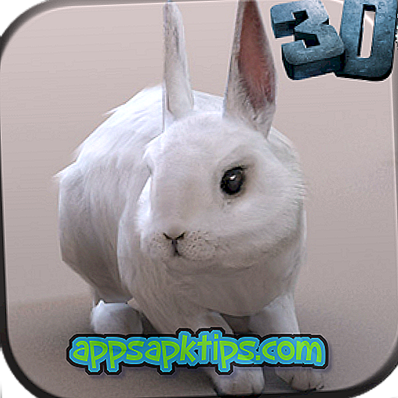 Real Rabbit Simulator