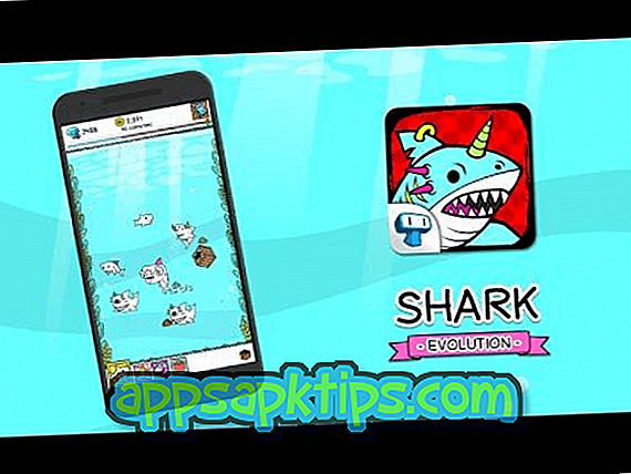Evolución de los tiburones - Haz clic en el juego