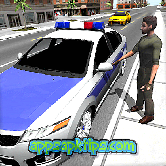 Policajný vodič vozidla 3D