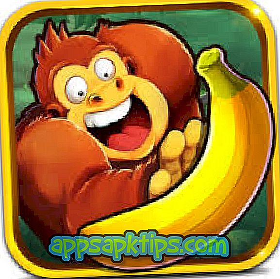 Downloaden Banana Kong Op De Computer