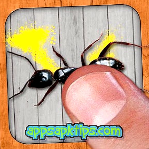 Download Ant smasher Na Počítači
