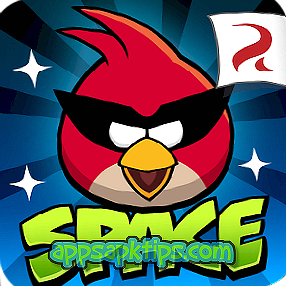 Download Angry Birds Space Tietokoneella
