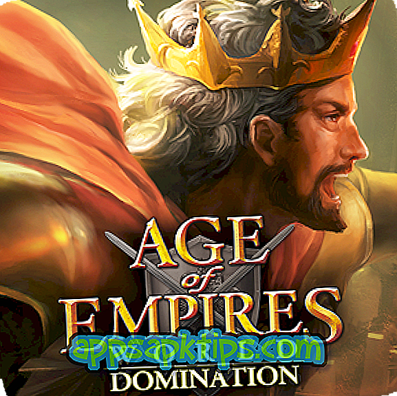 Nedladdning Age of Empires World Domination På Dator