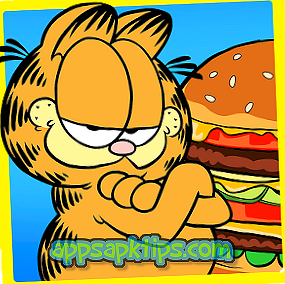 Luta épica de Garfield
