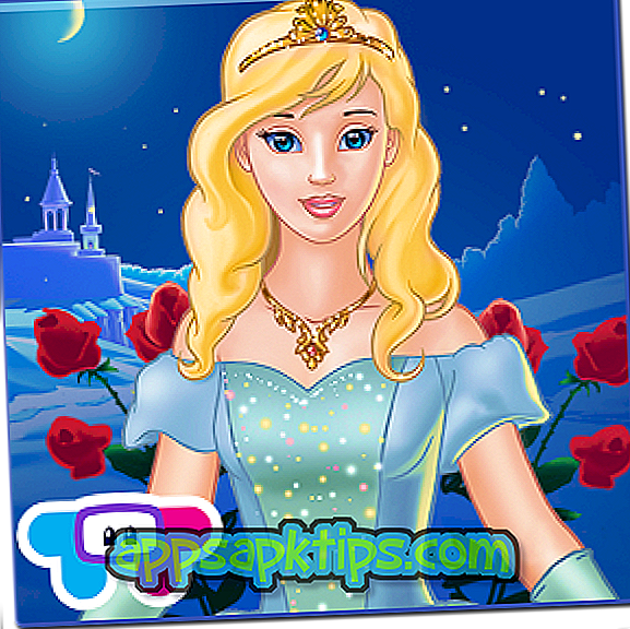 Herunterladen Cinderella Dressing Auf Computer